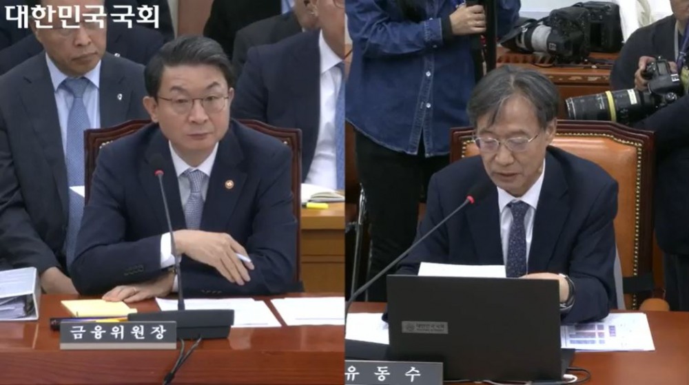 이억원 금융위 위원장(왼쪽)과 유동수 민주당 의원(오른쪽)이 20일 정무위원회의 국정감사에 출석해 질의와 답변을 진행하고 있다. / 사진= 국회 인터넷의사중계 시스템 화면 갈무리(2025.10.20)