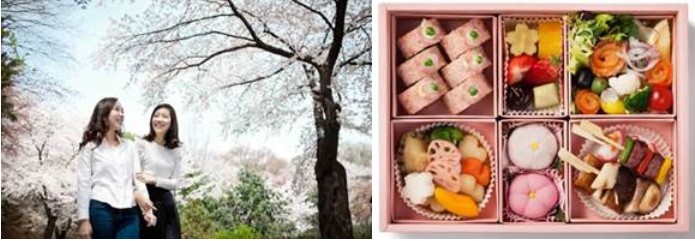 ‘벚꽃 향 물씬’ 2017 워커힐 봄꽃축제 개막