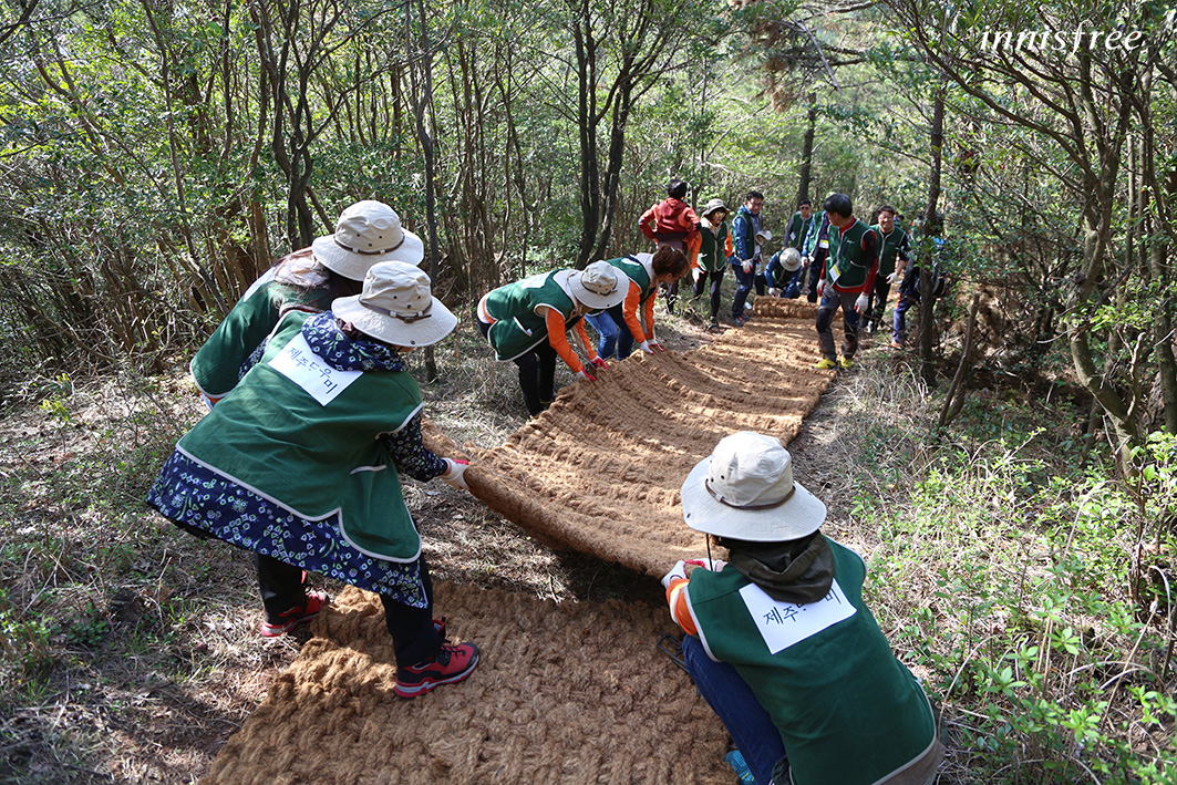 이니스프리 모음재단의 ‘제주다우미’ 참가자들이 제주 오름에 친환경 매트인 야자수 매트를 설치하고 있다. 이니스프리 제공