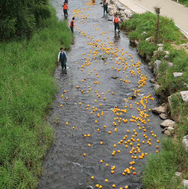 지난 5일 경기도 성남지 판교동 운중천에서 열린 ‘제4회 행복한 나눔오리 경주대회’에서 관계자들이 물에 떠내려가는 오리 인형과 함께 걸어가고 있다.