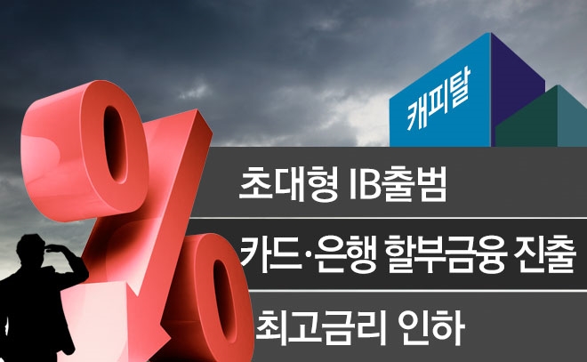 캐피탈사 내년 ‘암울’
