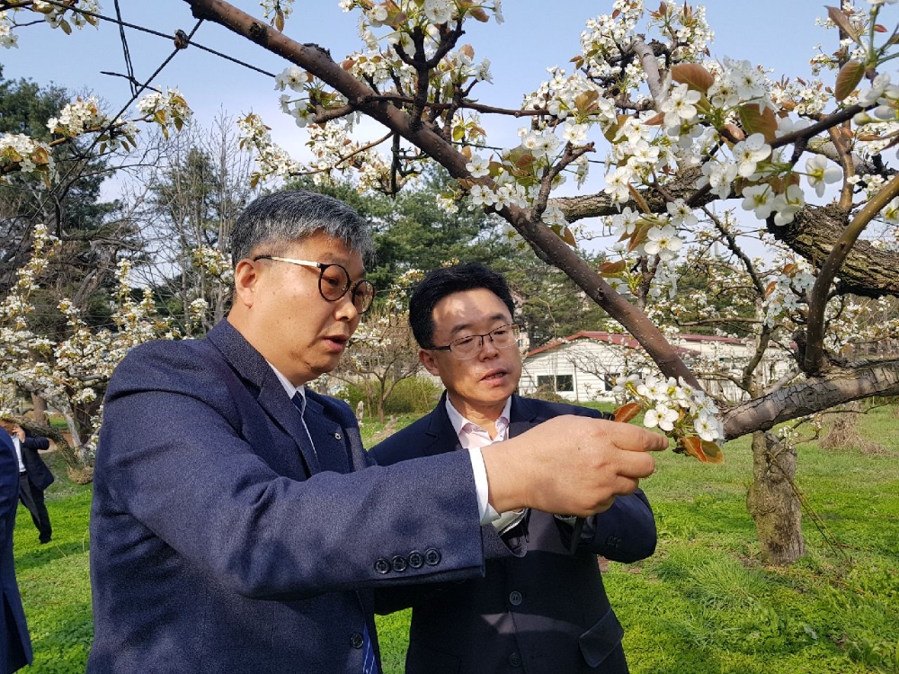 경기농협, 냉해 피해 과수 농가 긴급자금 지원