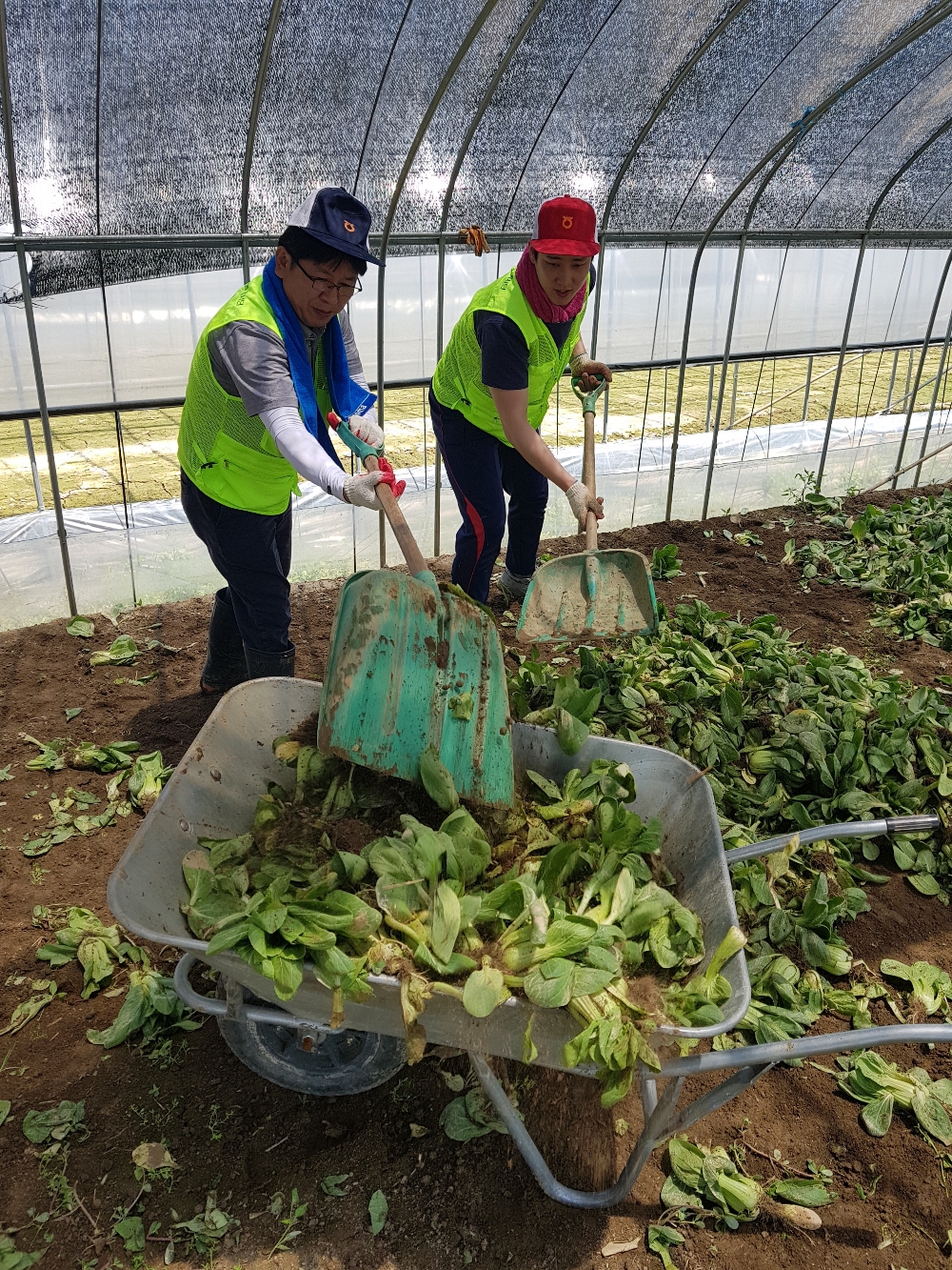 경기농협, 폭우피해 농가 현장 긴급지원