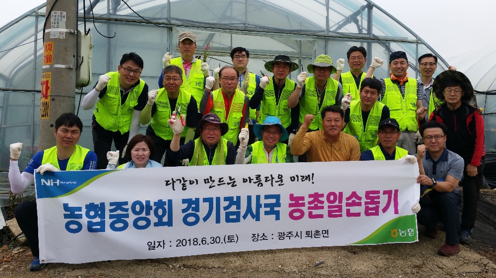 농협 직원 영농철 막바지 주말 일손돕기