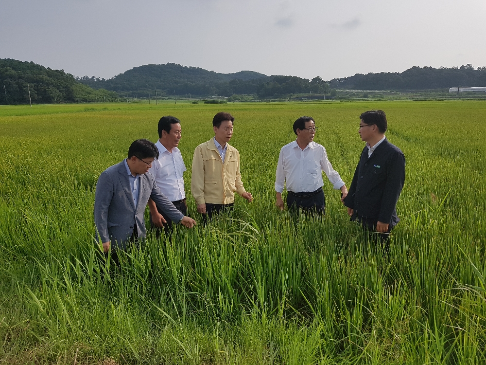 허식 농협중앙회 부회장, 폭염 피해지원 현장 점검