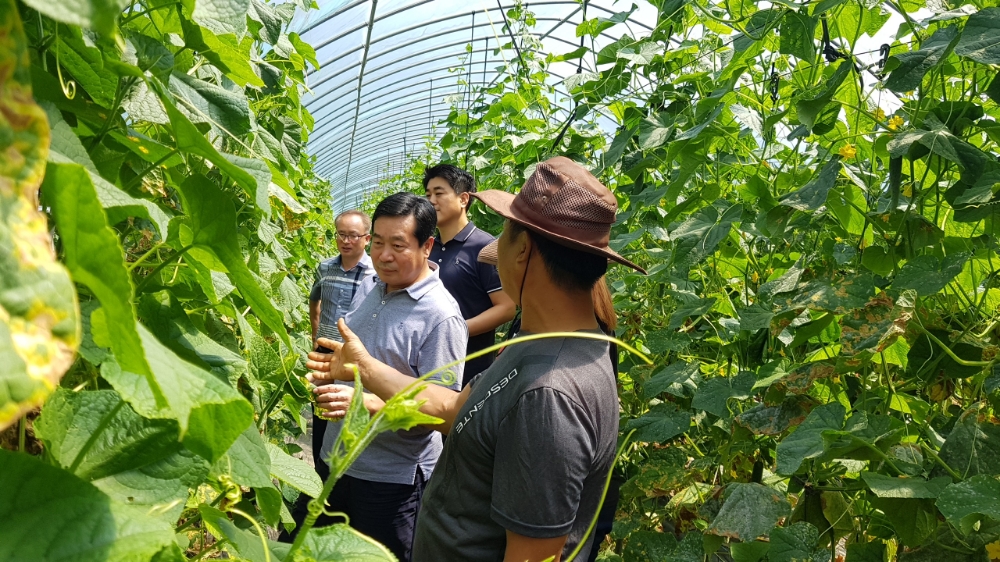 함용문 농협강원본부장, 폭염 피해 현장 찾아 농업인 위로
