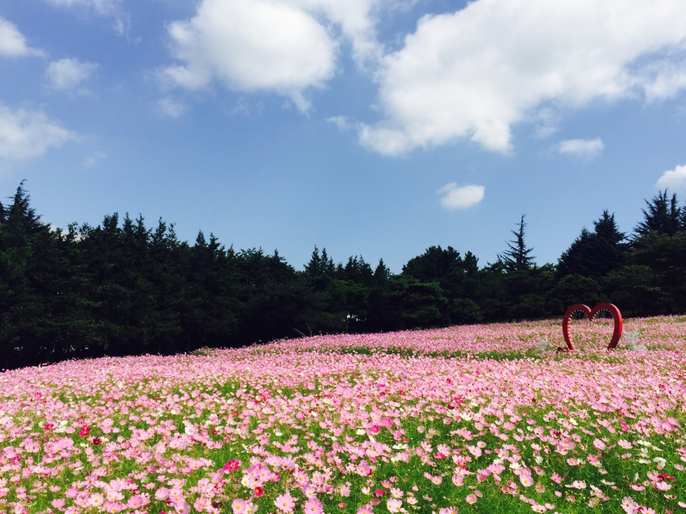 이랜드 이월드, '인생꽃 사진관' 가을축제 개최