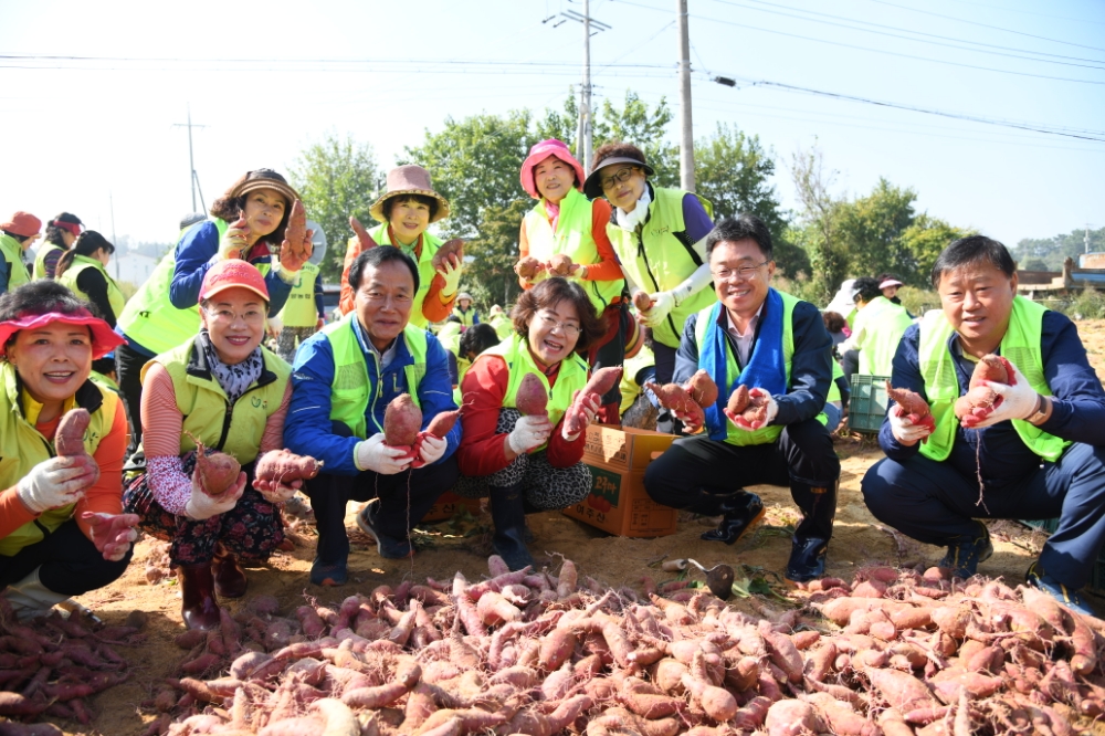 농협중앙회 경기지역본부, 중식지원·일손돕기 펼쳐