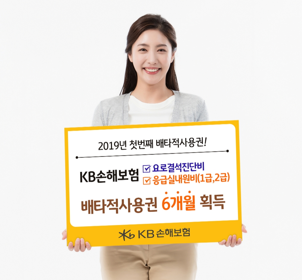 △사진=KB손해보험