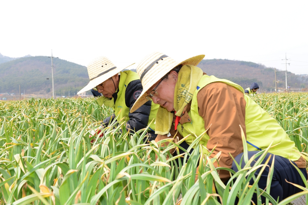 △사진=NH농협손해보험