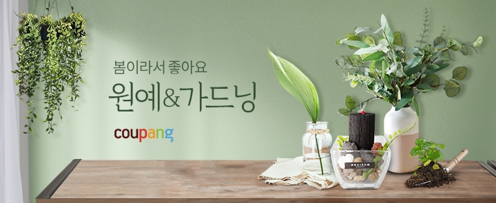 쿠팡, '플랜테리어' 인기에 원예·가드닝 카테고리 개편