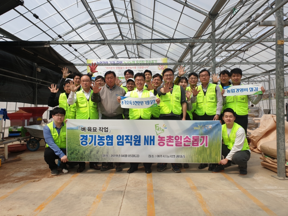 경기농협, 능서농협 육묘장 현장 일손돕기 실시