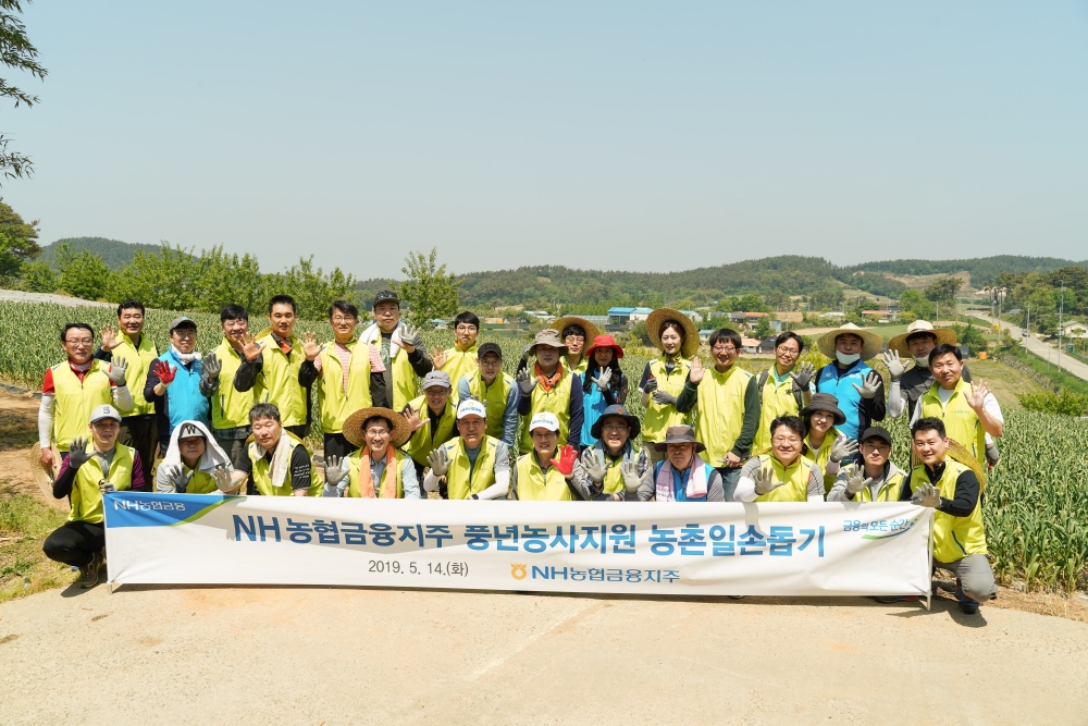14일, 충남 서산시 부석면에서 진행된 NH농협금융지주 농촌 일손돕기 활동에서 농협금융 최창수 부사장(앞줄 왼쪽에서 5번째)과 임직원 봉사단이 일손돕기 후에 기념촬영을 하고 있다./사진=NH농협금융지주
