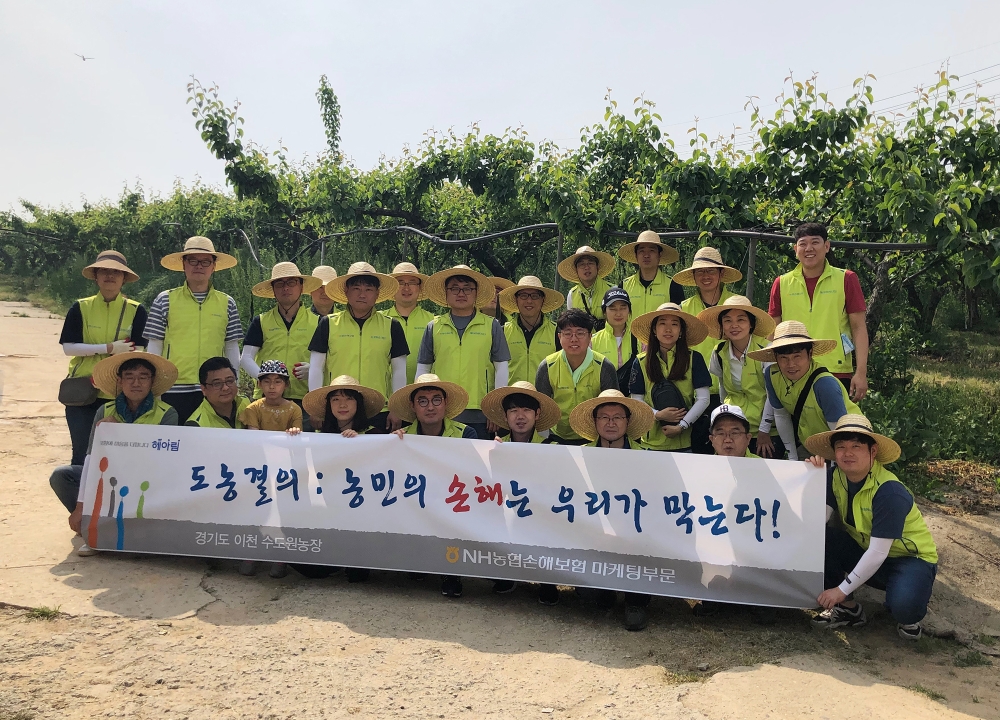 △사진=NH농협손해보험