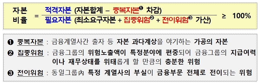 금융그룹 감독 모범규준 자본 적정성 기준 / 자료= 금융위원회