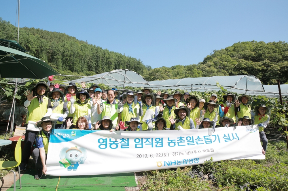 △사진=NH농협생명