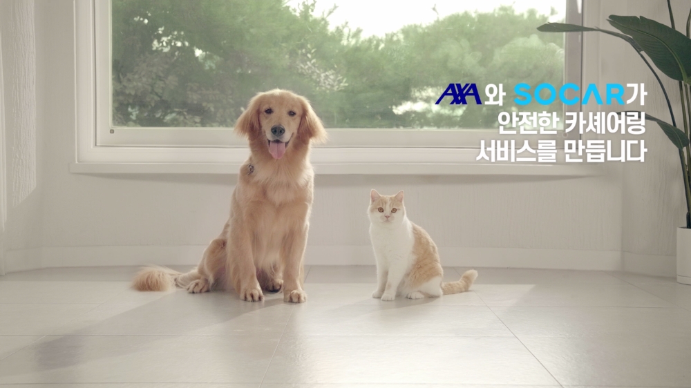 △사진=AXA손해보험