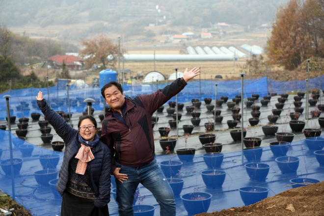 롯데슈퍼와 농림축산식품부, 충남도가 힘을 합쳐 친환경 청년농부 육성을 위해 시작한 ‘청년농부 프로젝트’가 단일 브랜드 누계매출 50억원을 달성했다. /사진=롯데쇼핑.