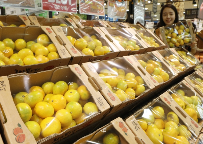 롯데마트는 오는 9일까지 전 점포에서 10월 1달 간 진행되는 초대형 행사인 '통 큰 한달'의 일환으로 제주 황토밭 하우스 감귤(2kg, 박스)를 1만800원에 판매한다. /사진=롯데쇼핑.