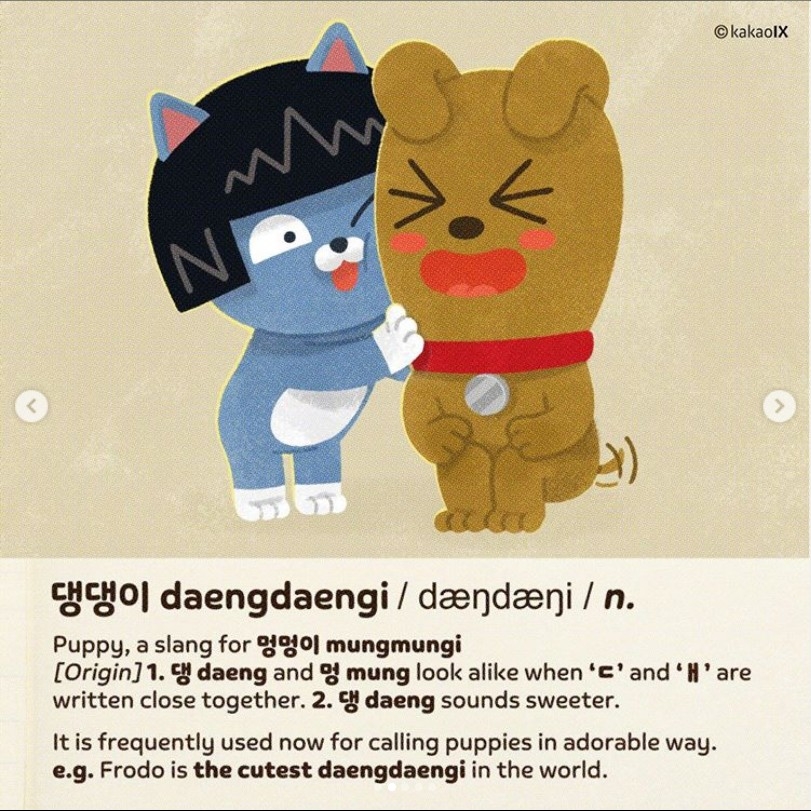 △프로도(개)와 네오(고양이)가 설명하는 인싸의 일러스트와 한영 사전의 모습/사진=오승혁 기자(자료 편집)