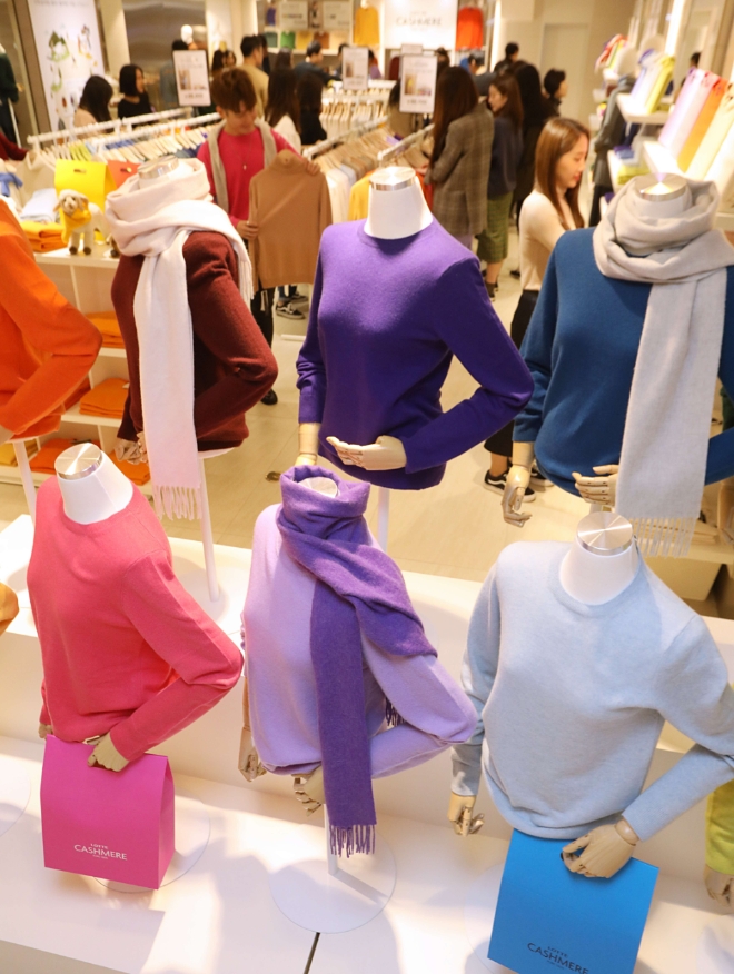 롯데백화점은 창립 40주년을 맞이해 지난 9월 27일부터 판매를 시작한 ‘캐시미어 100% 니트’가 지난 2일까지 총 5만여장 팔렸다고 밝혔다. /사진=롯데쇼핑.