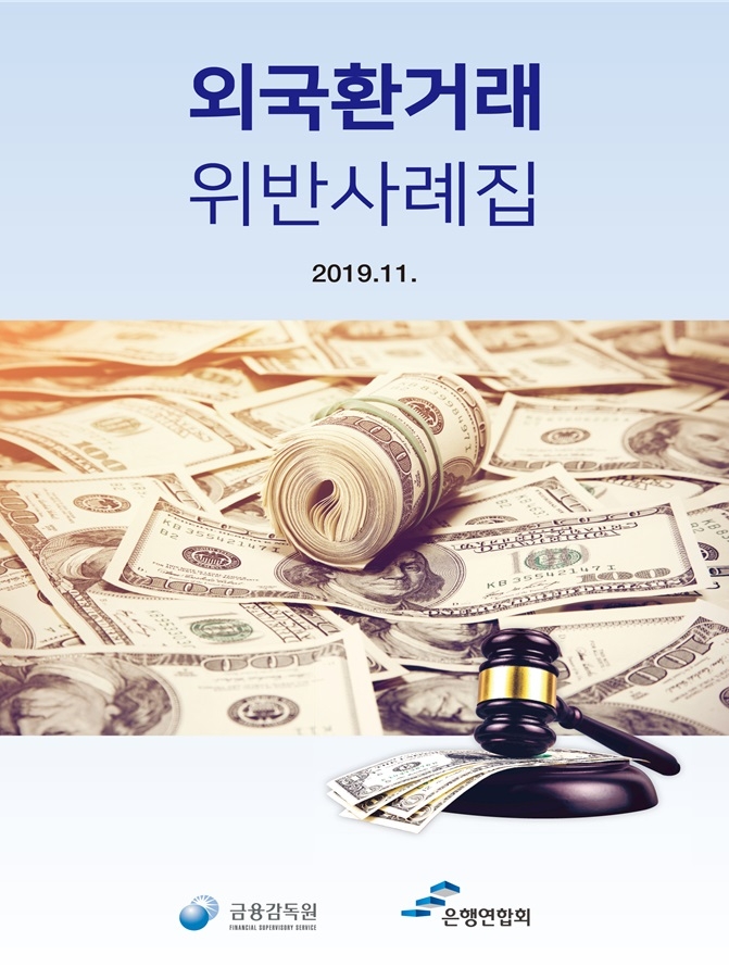 금감원, 외국환거래 위반사례집 개정·발간