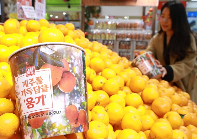 롯데마트는 오는 15일까지 전 점포에서 제공하는 용기에 고객이 가능한만큼 제주 감귤을 담을 수 있는 '제주를 가득 담을 용기' 행사(L.Point 회원가 5980원, 정상가 8980원)를 진행한다. /사진=롯데쇼핑.