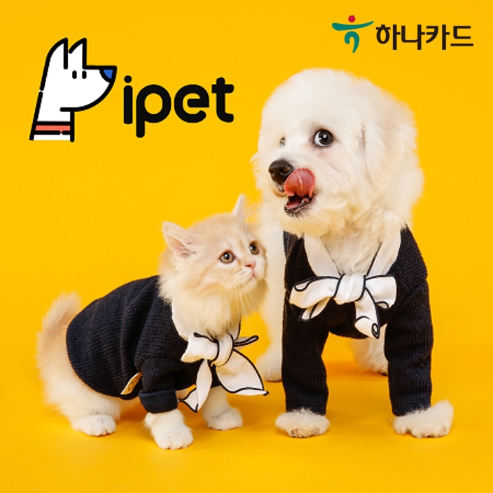 하나카드, 반려동물 보험상품 비교 플랫폼 ipet 선봬