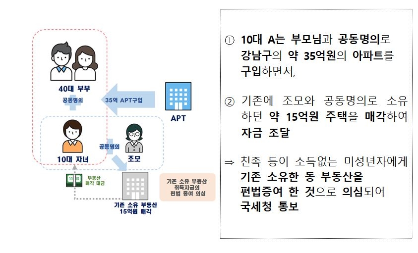 합동조사반이 밝힌 소득없는 미성년자에 대한 부동산 편법증여 의심 사례 / 자료=국토교통부