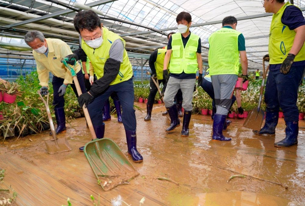 김광수 NH농협금융지주 회장(왼쪽 두 번째)과 정재영 이사(왼쪽 첫 째) 등 농협금융 임직원 봉사단들이 지난 7일 경기 용인 소재 화훼 농가에서 수해를 입은 농가의 신속한 피해복구를 위해 토사 정리 작업을 하고 있다. /사진=NH농협금융지주