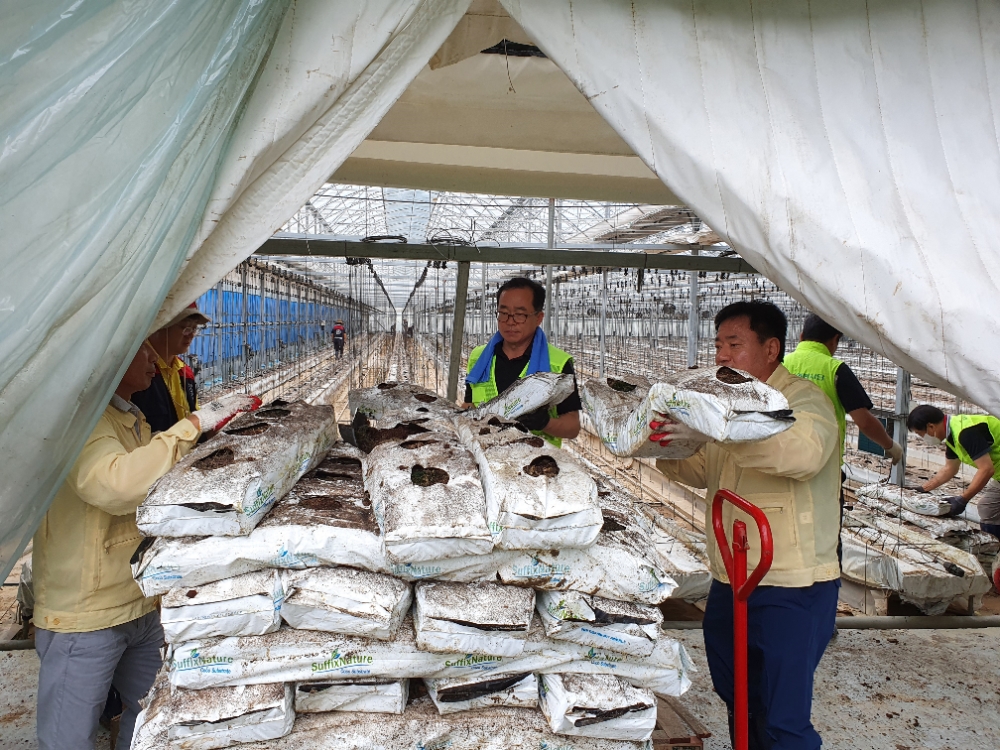 김장섭 경기농협 본부장(가운데)과 염규종 수원농협 조합장겸 중앙회 이사(오른쪽). /사진=경기농협