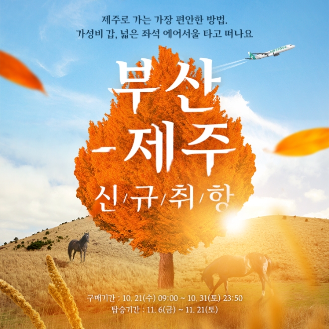 에어서울은 다음 달 6일부터 부산~제주 노선에 신규 취항한다. 사진=에어서울.