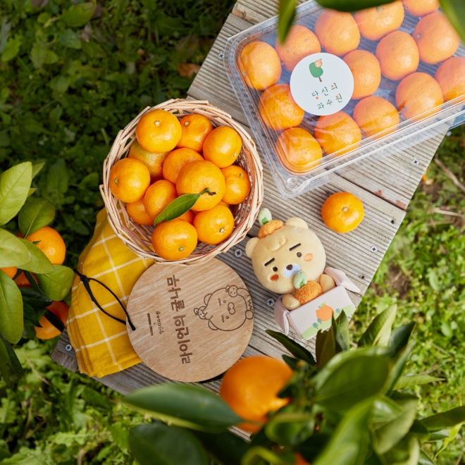 카카오커머스의 카카오프렌즈와 카카오메이커스는 대표 지역 특화 제품 중 하나인 ‘프렌즈 인 제주’를 활용해 지역 상생에 나선다. 사진=카카오.