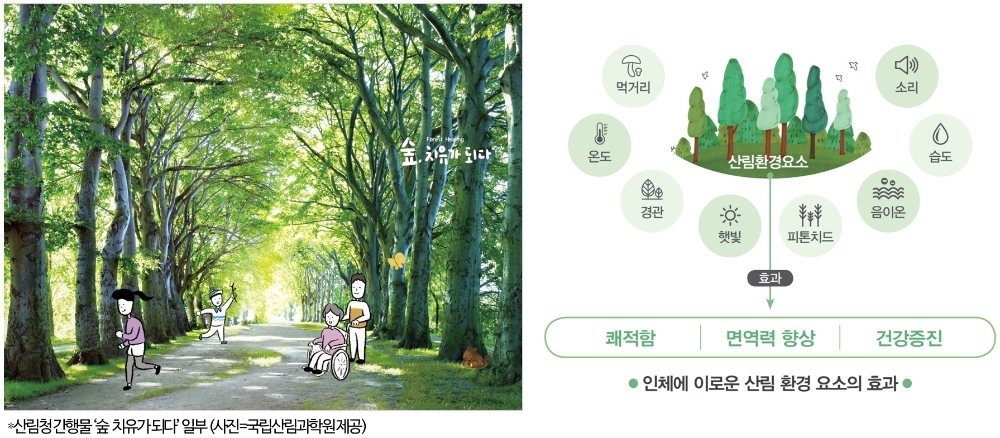 코로나블루 속 정서안정 돕는 숲세권 아파트 각광…‘래미안 포레스티지’ 주목