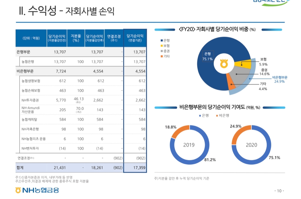 사진 = NH농협금융지주 2020년 실적보고서