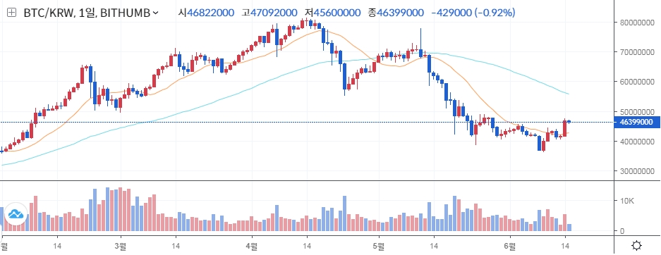자료: 비트코인 시세, 출처: 빗썸