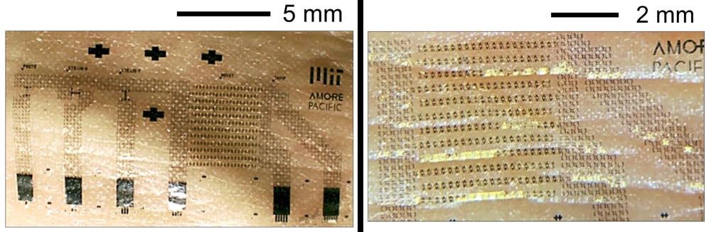 아모레퍼시픽이 개발한 초박막 웨어러블 측정 기기 이미지/사진제공=아모레퍼시픽
