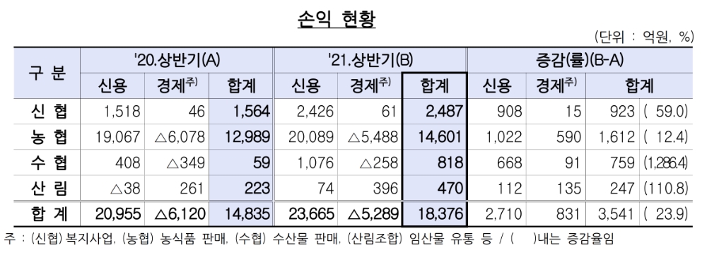 상호금융조합의 상반기 손익 현황. /자료=금감원