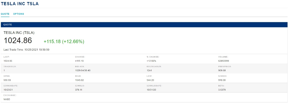 테슬라 주가 / 자료출처= 미국 뉴욕증권거래소(NYSE) 검색(2021.10.25 종가 기준) 중 갈무리