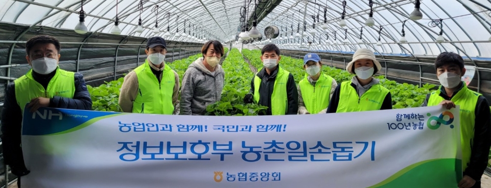 농협중앙회 정보보호부, 딸기농가 방문 일손돕기 실시