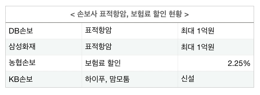 손보사 새해 고객 확보 치열…표적항암 확대·보험료 할인·맘모툼 여성 담보 경쟁