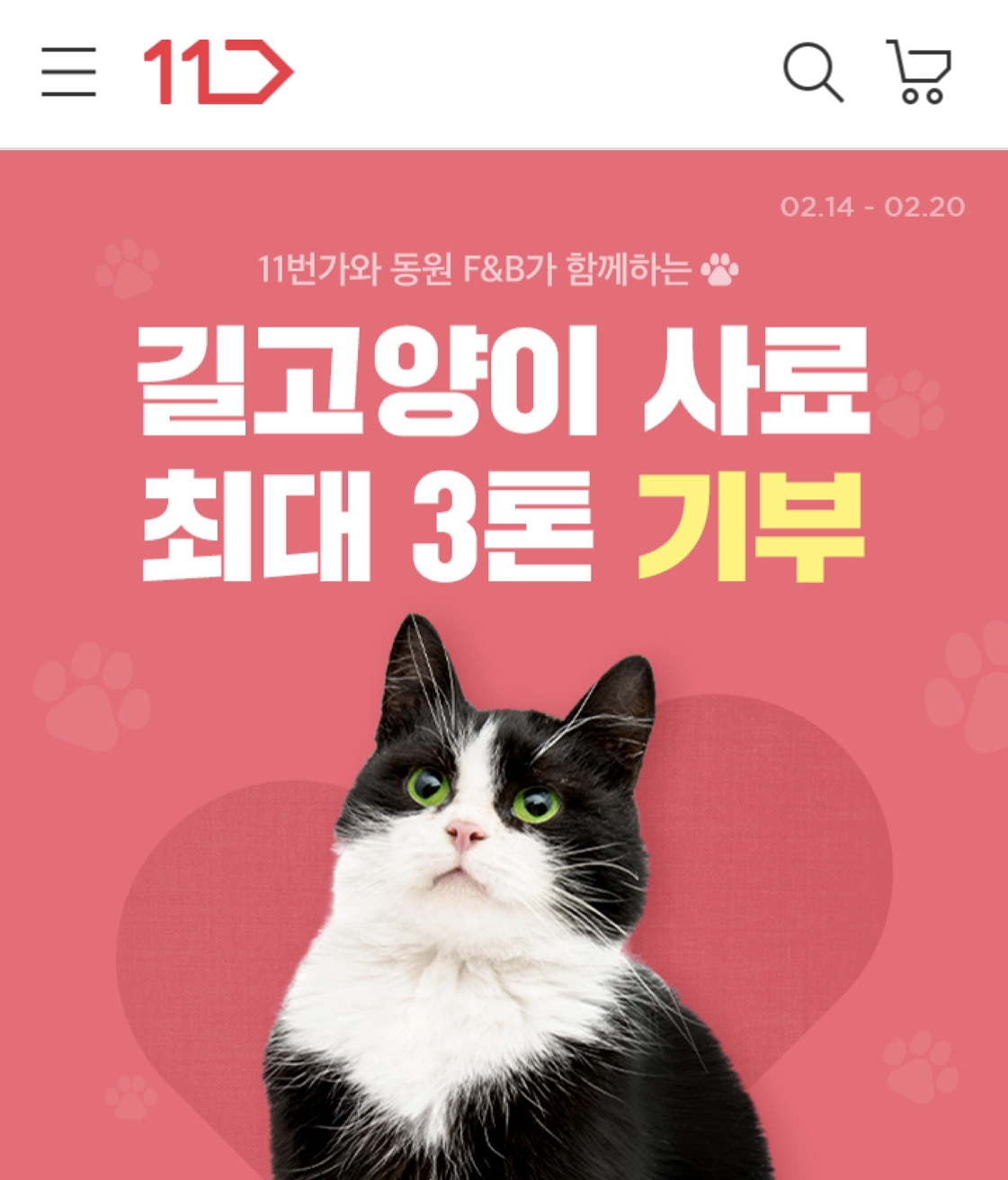 11번가와 동원F&B가 길고양이 사료 기부 캠페인을 함께한다./사진제공=11번가