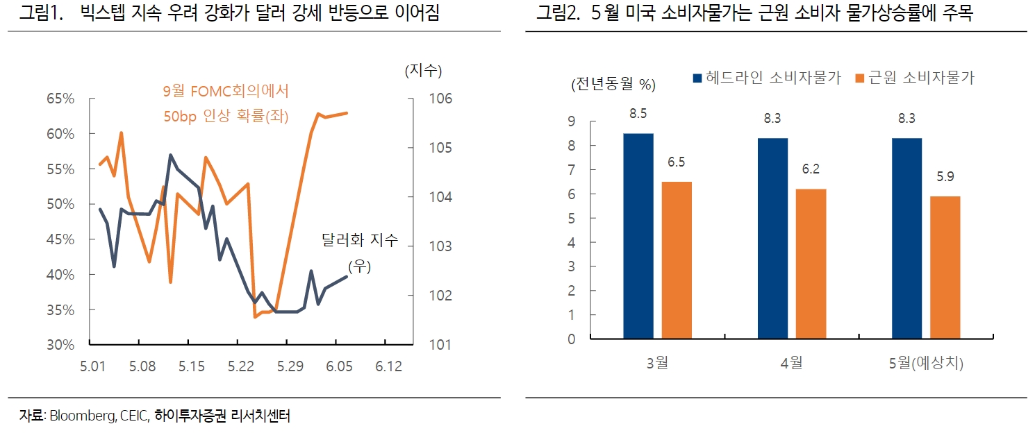 자료출처= 하이투자증권 리포트(2022.06.07) 중 갈무리
