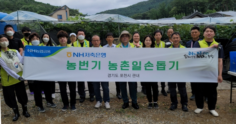 NH저축은행 임직원 봉사단이 전날(28일) 경기도 포천에 위치한 포도 재배농가를 방문했다. 이종욱 NH저축은행 경영지원본부장(앞줄 왼쪽에서 네 번째)과 윤원기 NH저축은행 신용관리본부장(앞줄 왼쪽에서 다섯 번째), 임직원 봉사단이 일손돕기 후 기념촬영을 하고 있다. /사진제공=NH저축은행