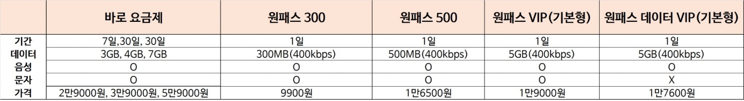 SK텔레콤 로밍 요금제. 자료=SKT