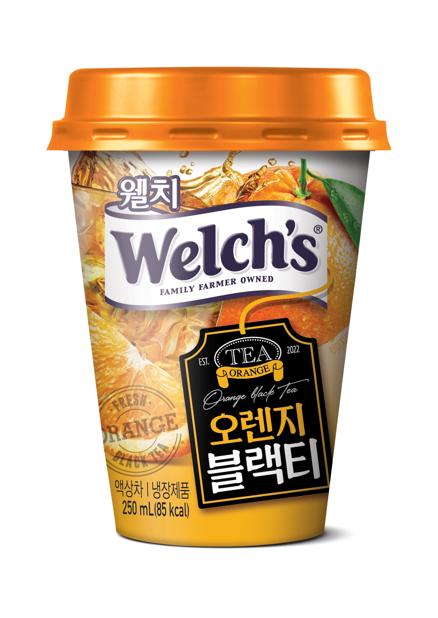 푸르밀이 칼로리 부담없이 커피 대신 즐기는 신제품 음료 ‘웰치 오렌지블랙티’ 출시했다고 1일 밝혔다./사진제공=푸르밀