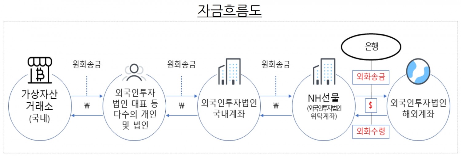 금융감독원에서 확인한 외국인투자법인의 이상 외화송금 자금 흐름도. /자료제공=금융감독원