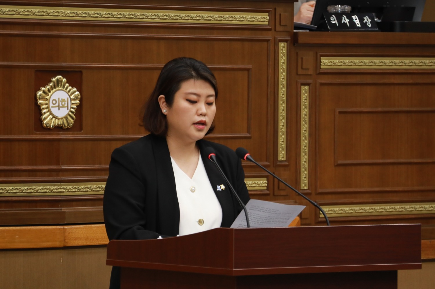 마포구의회 차해영 의원이 5분 자유발언을 펼치는 모습./사진제공=마포구의회