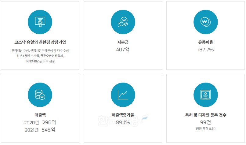 국내 친환경 대표 기업 중 한 곳인 ‘자연과환경’(대표 이병용)의 2021년 기준 주요 경영 지표./사진=자연과환경 누리집 갈무리