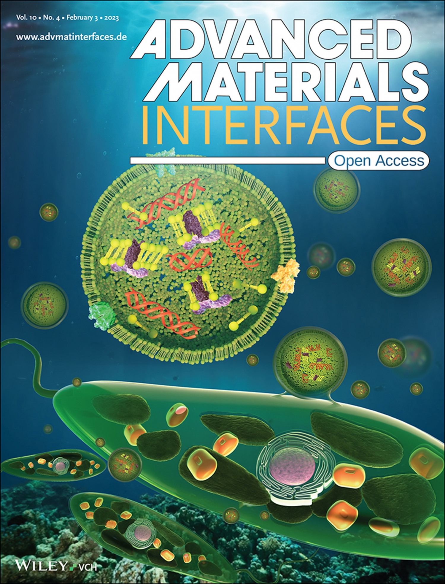 어드밴스드 머티리얼스 인터페이스 표지논문 선정./ 사진제공 = 신세계인터내셔날